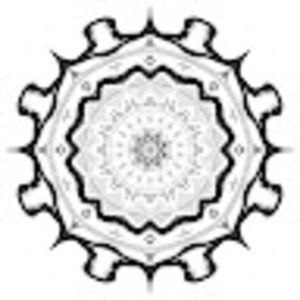 Meet your Posher, Soraya